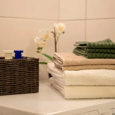 Nordic Bliss With Sauna And Parking Apartment *