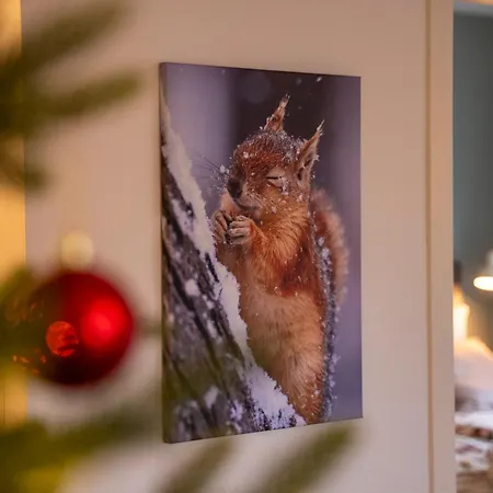 Apartment Nordic Bliss With Sauna And Parking Rovaniemi